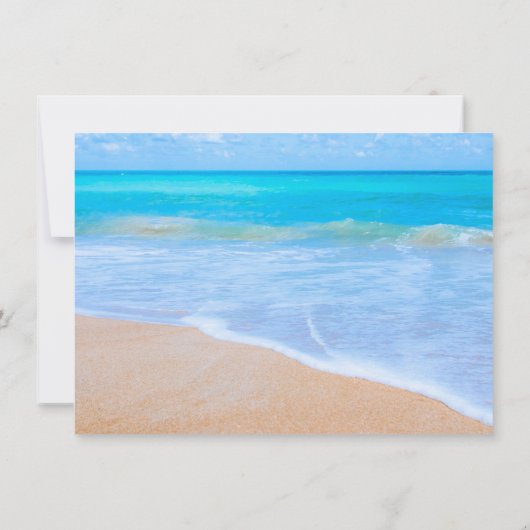 Big Sand Dollar Simple Save the Date Cards Kaart (Achterkant)