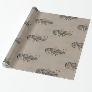 Big Sandy Lobster Cadeaupapier