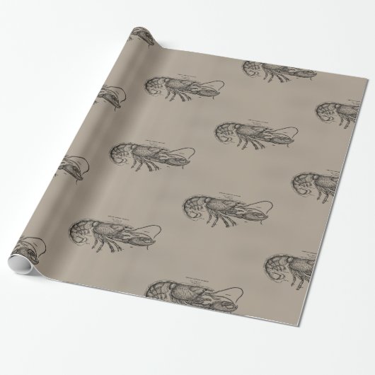 Big Sandy Lobster Cadeaupapier (Uitgerold)