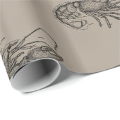 Big Sandy Lobster Cadeaupapier (Rol Hoek)