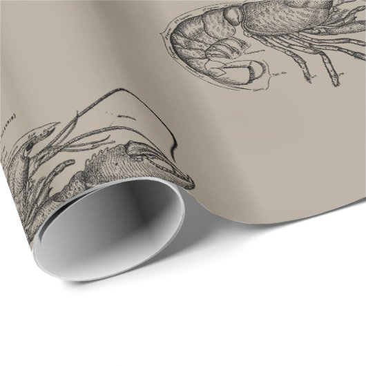 Big Sandy Lobster Cadeaupapier (Rol Hoek)