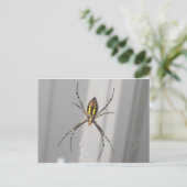 Big Scary Spider Briefkaart (Staand voorkant)