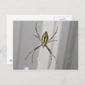 Big Scary Spider Briefkaart (Voorkant / Achterkant)