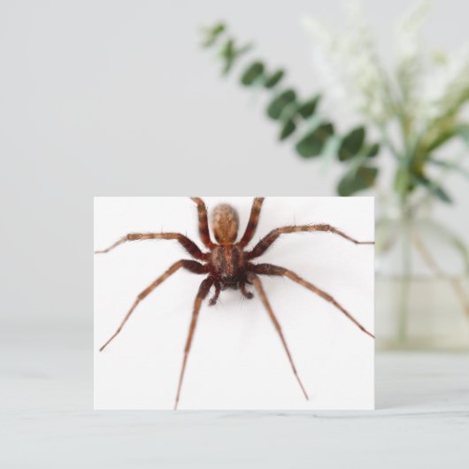 Big Scary Spider Briefkaart (Staand voorkant)