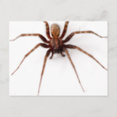 Big Scary Spider Briefkaart (Voorkant)
