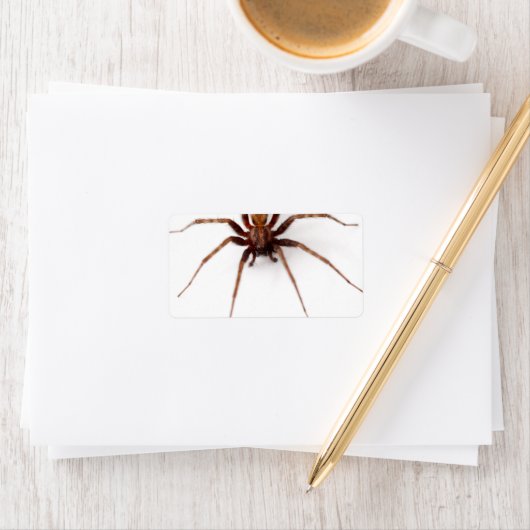 Big Scary Spider Etiket (Insitu)