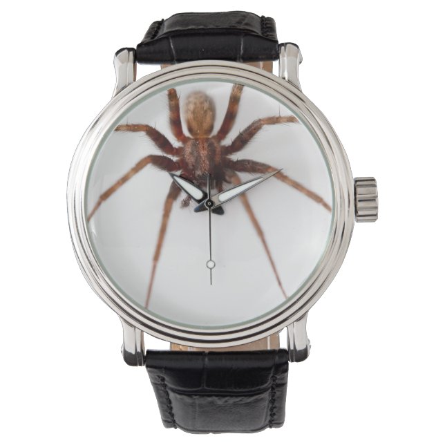 Big Scary Spider Horloge (Voorkant)