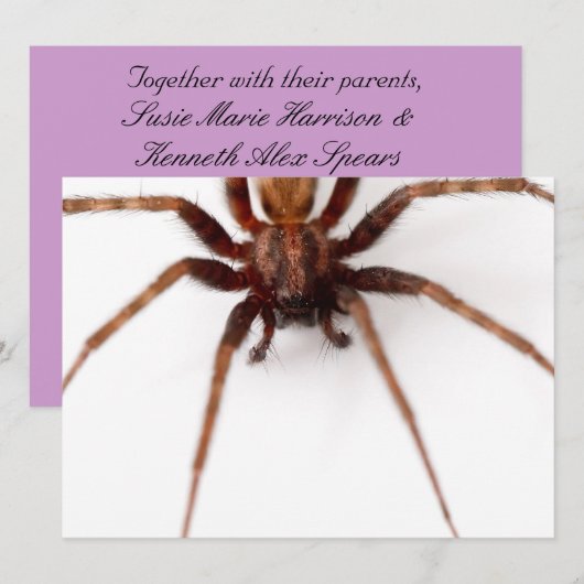 Big Scary Spider Kaart (Voorkant / Achterkant)