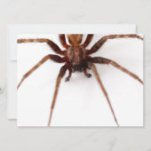 Big Scary Spider Kaart (Voorkant)