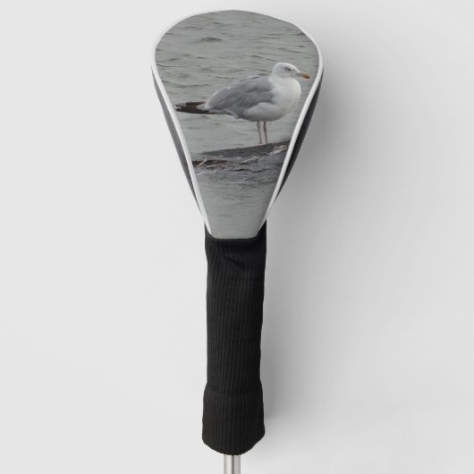 Big seagull golfheadcover (Voorkant)