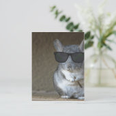 Big Shot Chinchilla Briefkaart (Staand voorkant)