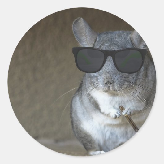 Big Shot Chinchilla Ronde Sticker (Voorkant)