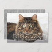 Big Sister Foto Pet Zwangerschap Aankondiging (Voorkant / Achterkant)