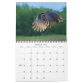 Big Sky Land 2011 Kalender (Mar 2027)