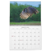 Big Sky Land 2011 Kalender (Mar 2026)