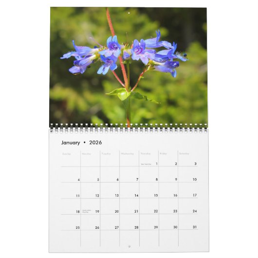 Big Sky Land Wildbloemen 2012 Agenda Kalender (Jan 2026)