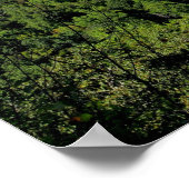 Big South Fork NRRA Poster (Hoek)