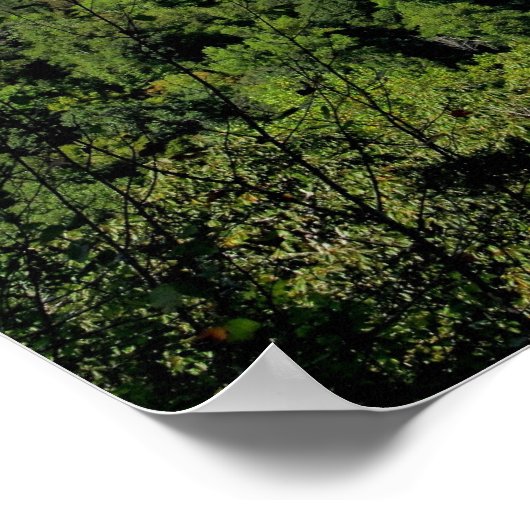 Big South Fork NRRA Poster (Hoek)