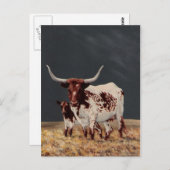 Big Spot en Little Spot Briefkaart (Voorkant / Achterkant)