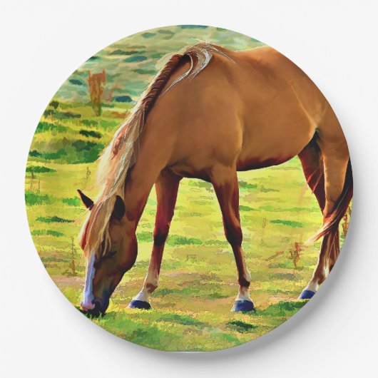 BIG SPRINGS HORSE PAPIEREN BORDJE (Voorkant)