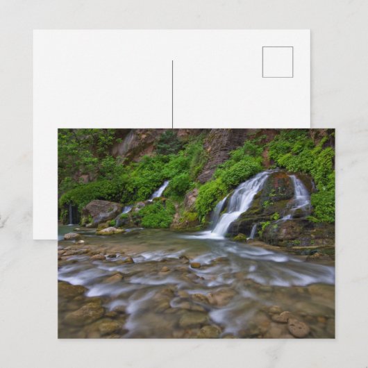 Big Springs Virgin | Nationaal Park Zion Briefkaart (Voorkant / Achterkant)
