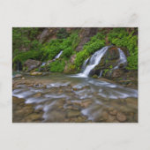 Big Springs Virgin | Nationaal Park Zion Briefkaart (Voorkant)