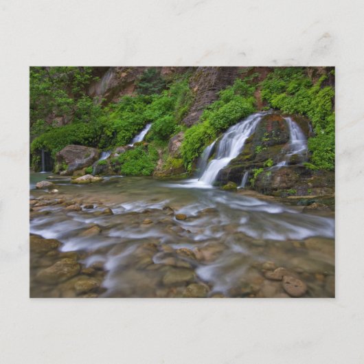 Big Springs Virgin | Nationaal Park Zion Briefkaart (Voorkant)