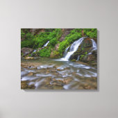 Big Springs Virgin | Nationaal Park Zion Canvas Afdruk (Voorkant)