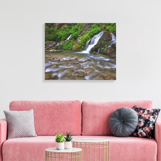 Big Springs Virgin | Nationaal Park Zion Canvas Afdruk (Insitu (Woonkamer))