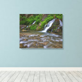 Big Springs Virgin | Nationaal Park Zion Canvas Afdruk (Insitu (Houten vloer))