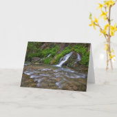 Big Springs Virgin | Nationaal Park Zion Kaart (Gele Bloem)