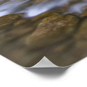 Big Springs Virgin | Nationaal Park Zion Poster (Hoek)