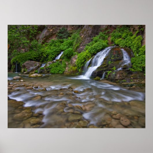 Big Springs Virgin | Nationaal Park Zion Poster (Voorkant)