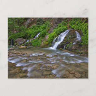 Big Springs Virgin River   Zion National Park Briefkaart
