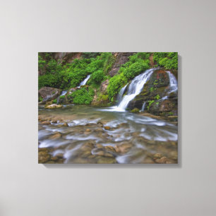 Big Springs Virgin River Zion National Park Canvas Afdruk