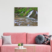 Big Springs Virgin River | Zion National Park Canvas Afdruk (Insitu (Woonkamer))