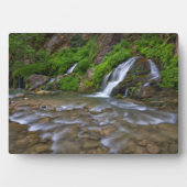 Big Springs Virgin River | Zion National Park Fotoplaat (voorkant)