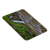 Big Springs Virgin River | Zion National Park Magneet (Rechterzijde)