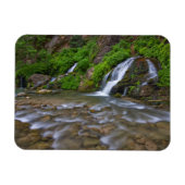 Big Springs Virgin River | Zion National Park Magneet (Horizontaal)