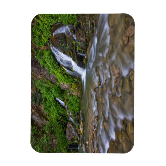 Big Springs Virgin River | Zion National Park Magneet (Verticaal)