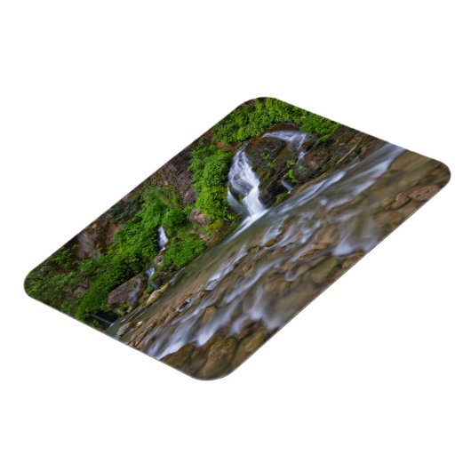 Big Springs Virgin River | Zion National Park Magneet (Linkerzijde)