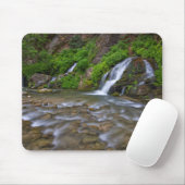 Big Springs Virgin River | Zion National Park Muismat (Met muis)