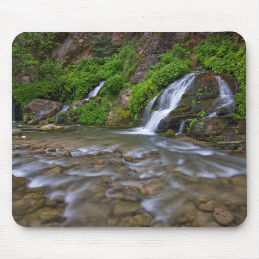 Big Springs Virgin River | Zion National Park Muismat (Voorkant)