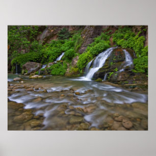 Big Springs Virgin River Zion National Park Poster