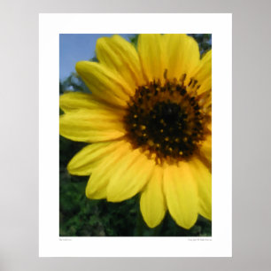 Big Sunflower - 28,5 x 36 inch Poster