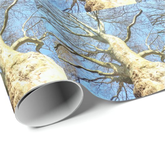 Big Sunny Tree Branches in Heavenly Blue Sky Cadeaupapier (Rol Hoek)