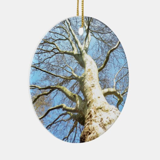 Big Sunny Tree Branches in Heavenly Blue Sky Keramisch Ornament (Rechts)