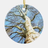 Big Sunny Tree Branches in Heavenly Blue Sky Keramisch Ornament (Voorkant)