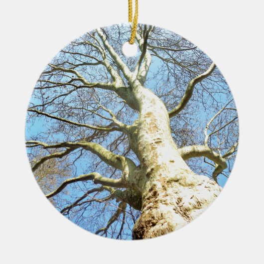 Big Sunny Tree Branches in Heavenly Blue Sky Keramisch Ornament (Voorkant)