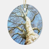 Big Sunny Tree Branches in Heavenly Blue Sky Keramisch Ornament (Links)